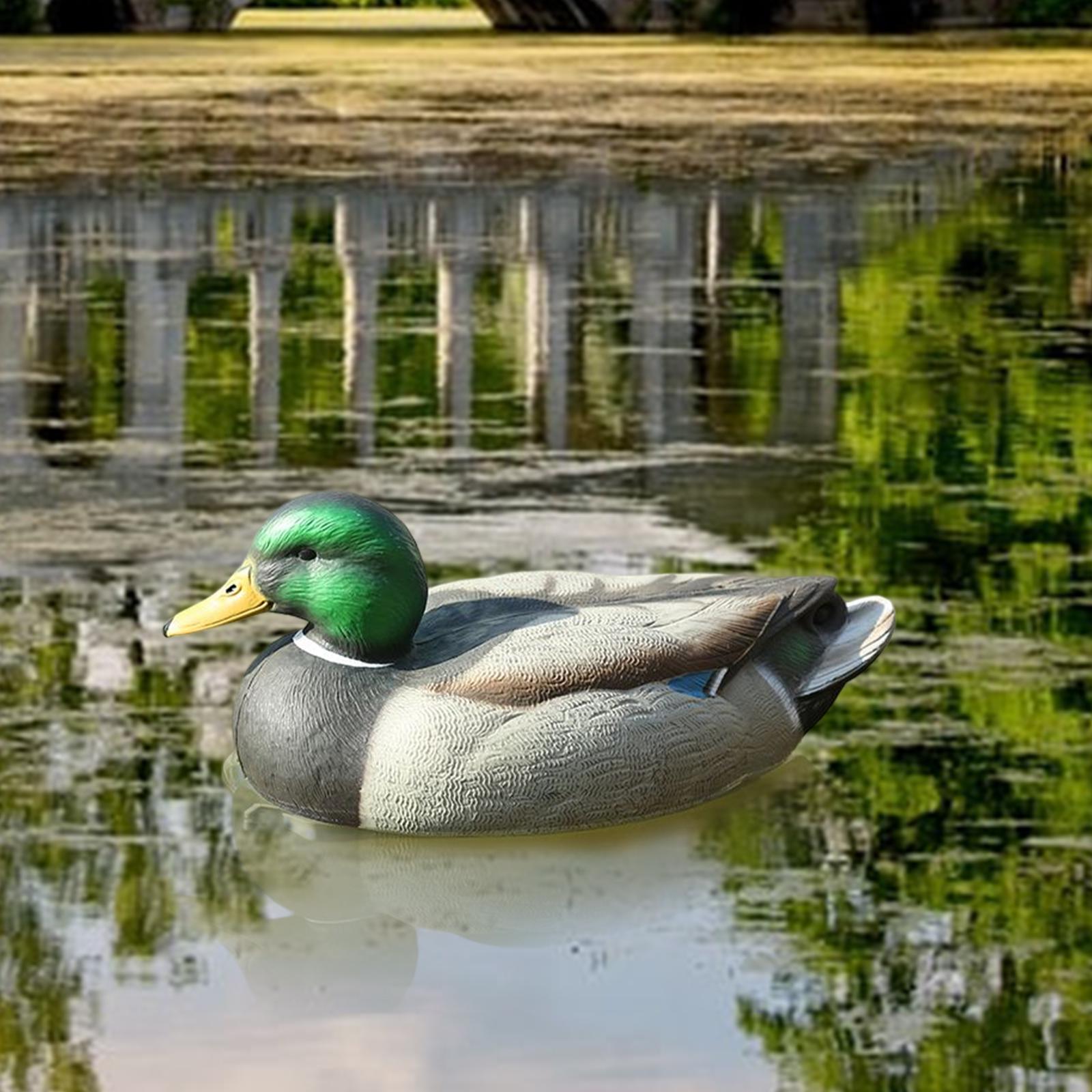 Decoy Duck Plastic - Anatomik Olarak Mükemmel Plastik Sahte Ördek