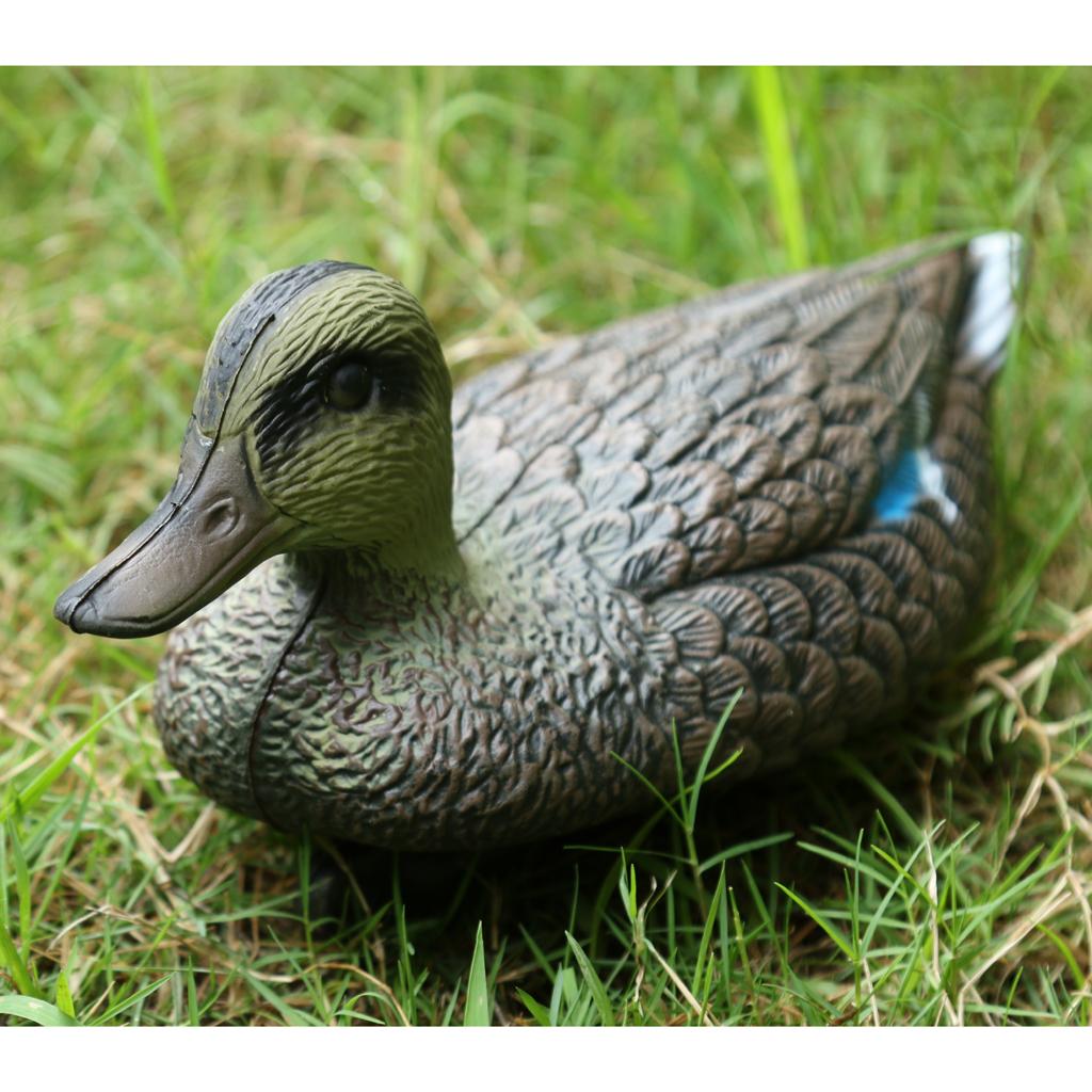 Gerçek Boyutta Plastik Mandari - Decoy Duck Plastic incelemesi ve fiyatı