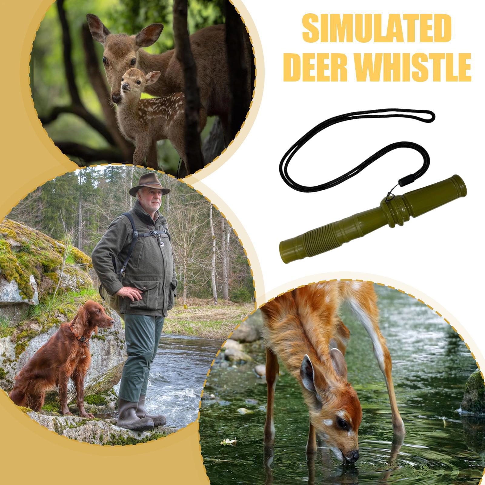 Geyik Avı İçin Çıngıraklı Boyn - Hunting And Outdoor Supplies incelemesi ve fiyatı