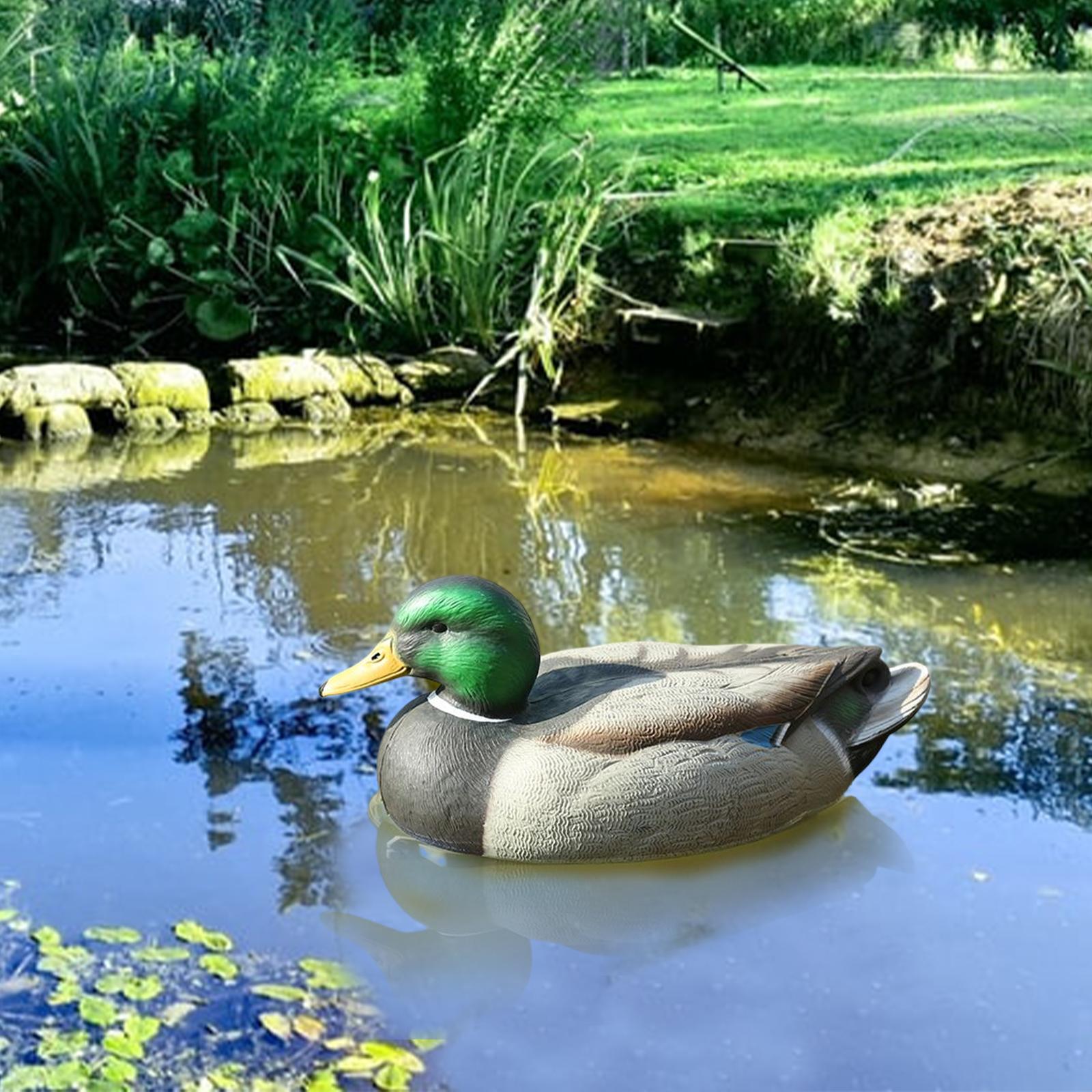 Anatomik Olarak Mükemmel Plast - Decoy Duck Plastic incelemesi ve fiyatı
