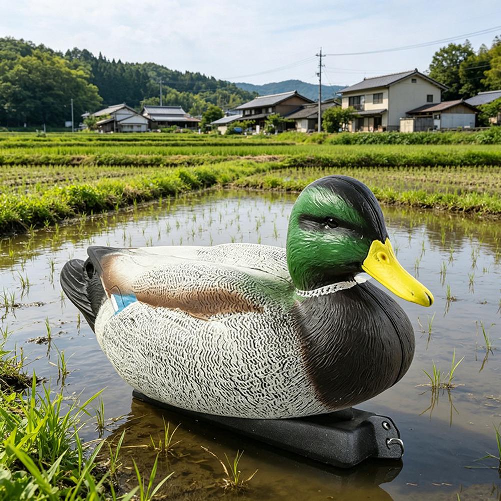Yüzen Ördek Maketi 3D Gerçekçi - Decoy Duck Plastic incelemesi ve fiyatı